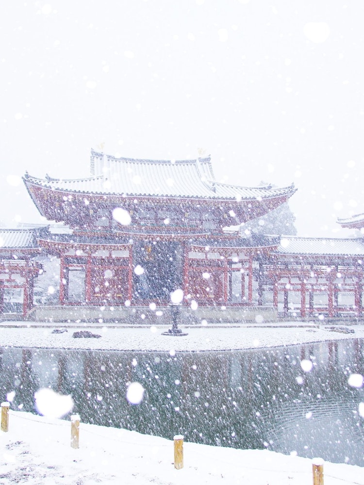 [Image1]In the first snow, I visited Byodo-in Temple for the first time.Children throw snow.