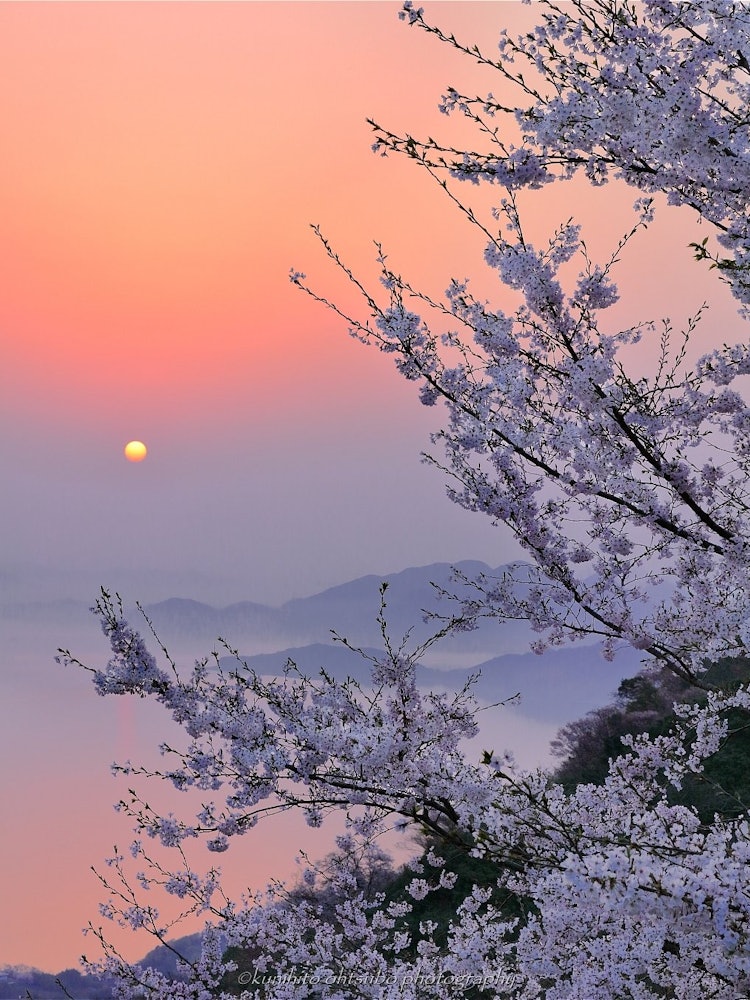 [Image1]「Morning glow of Mt.Shiudeyama」Location : Mitoyo City, Kagawa Prefecture, Mt. Shiude＊~Sunrise in the