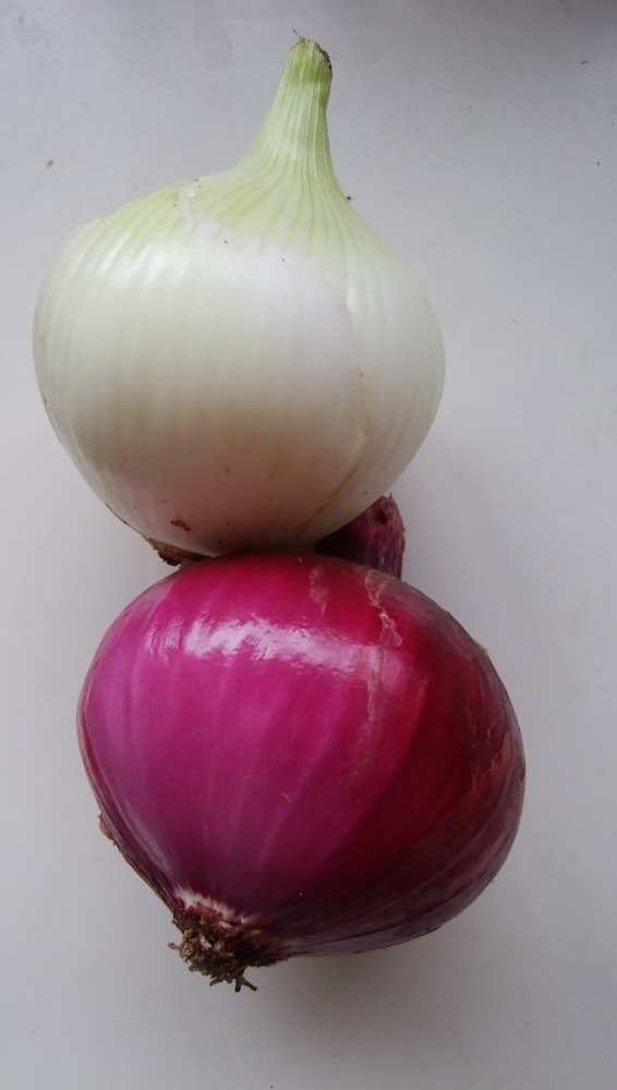 [Image1]New onions including red onion and fresh aroma are wafting around. Irresistible.