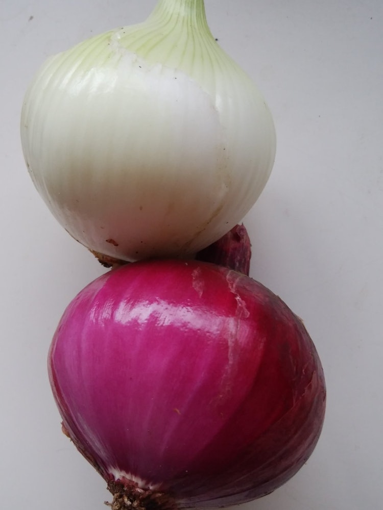 [Image1]New onions including red onion and fresh aroma are wafting around. Irresistible.