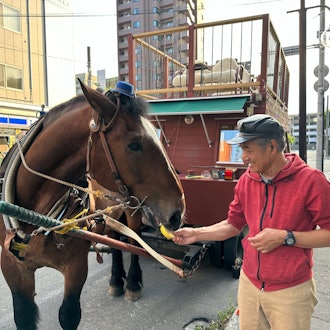 [Image1]【Obihiro City・Horse-drawn carriage bar】Change the scenery, change the sceneryApril 2019. With the ar