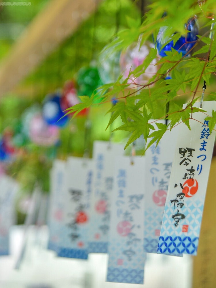 [Image1]Located in Ube City, Yamaguchi PrefectureKotozaki Hachimangu Wind Chime Festival 🎐I was able to visi