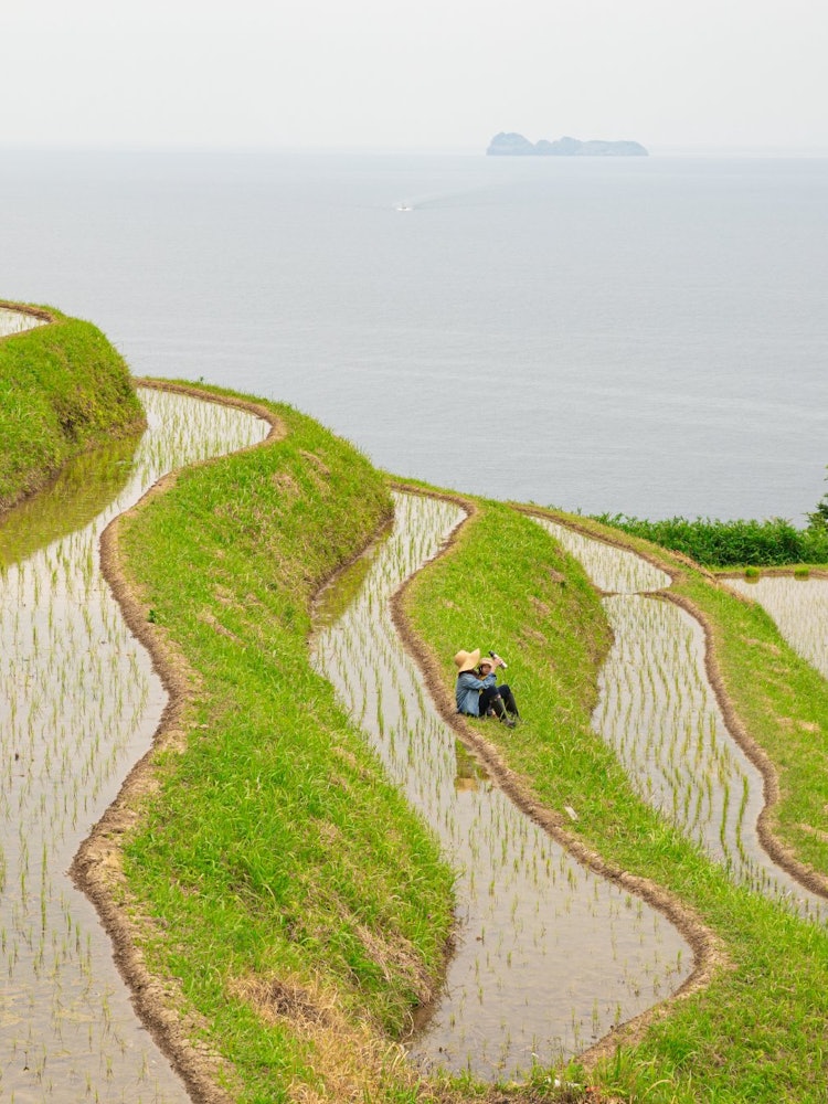 [Image1]Arai's Terraced Rice Fields in Ine Town, Kyoto PrefectureI really like the view from here, and I hav