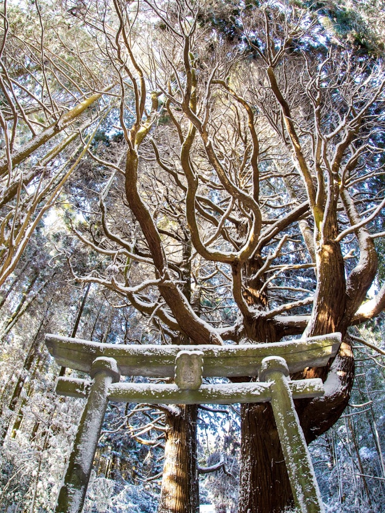 [Image1]It is located in Beppu City, Oita Prefecture, from an unpopular area. On this day, the snow was unus