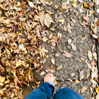 [画像2]紅葉しはじめた神社🍁⛩気持ち良過ぎて落ち葉を裸足で歩いてみたら、11月なのに地面が暖かい😃