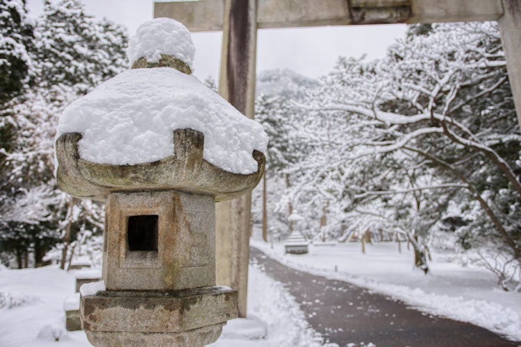 [相片1]兵庫縣朝來市積雪。