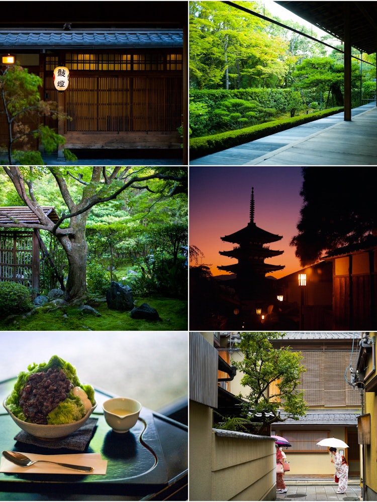 [Image1]Summer lights and colors color Kyoto. How eloquent of them.