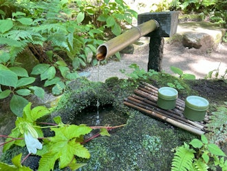 [画像1]猿庫(さるくら)の泉で野点(のだて)を体験‼飯田市の「猿庫の泉」で野点（のだて）体験ができます。※野点（のだて）とは・・・屋外で茶または抹茶をいれて楽しむ茶会のことです♪風越山麓の苔むした岩間から湧く