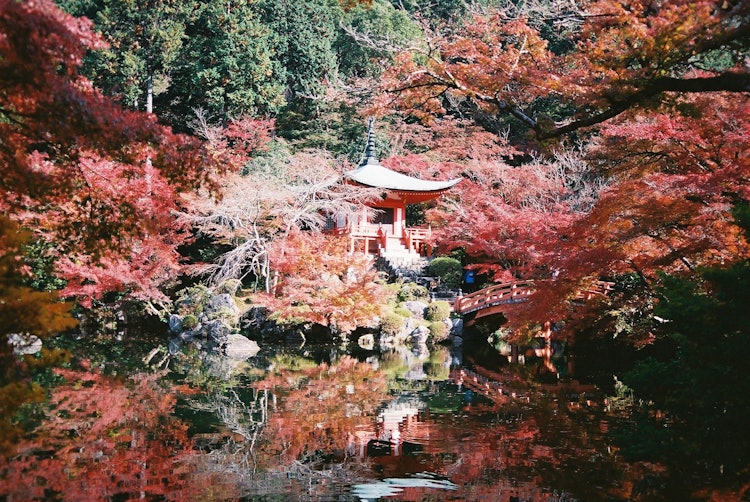 [相片1]世界遗产京都醍醐寺弁天堂我第一次去醍醐寺，但那是令人惊叹的朱红色。