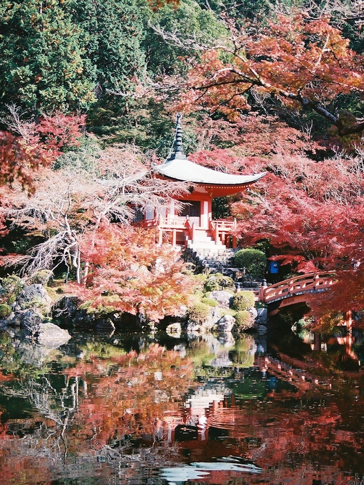 [Image1]World Heritage Kyoto Daigoji Temple BentendoI went to Daigoji Temple for the first time, but it was 
