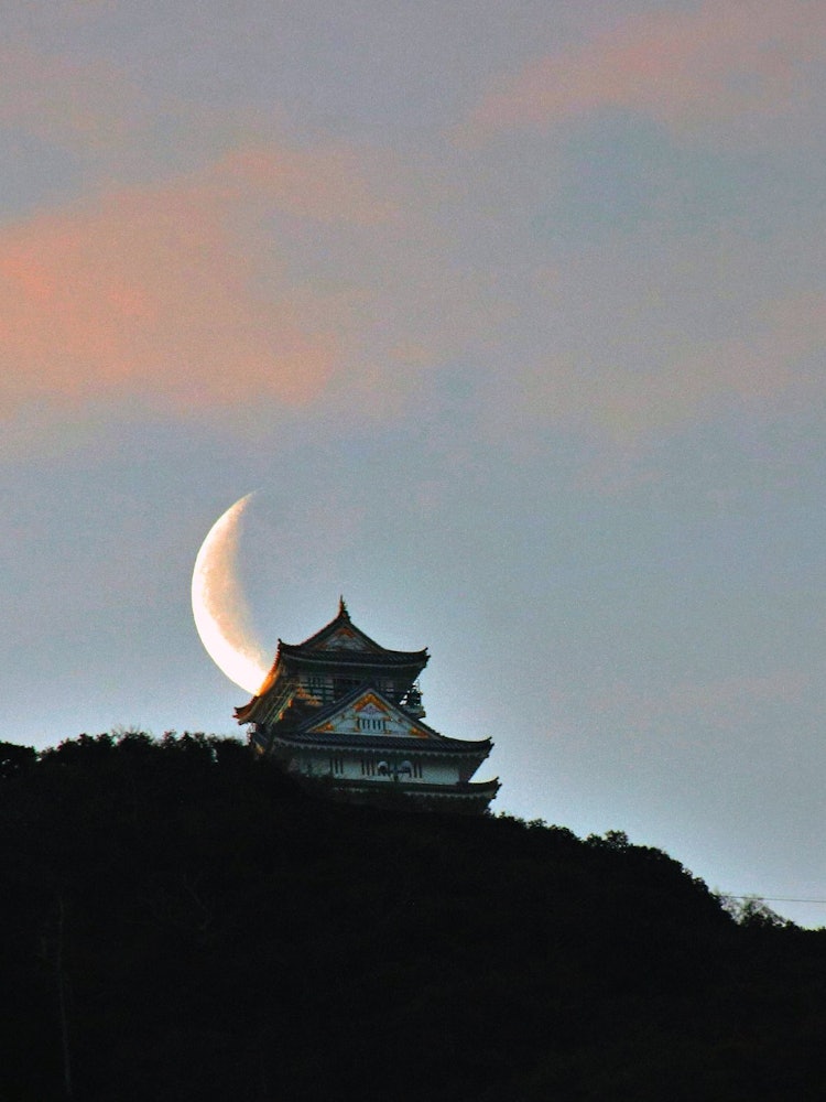 [画像1]岐阜県の長良川温泉に行きました、朝方に岐阜城を見上げると素晴らしい月が出ており岐阜城と月を撮りました。