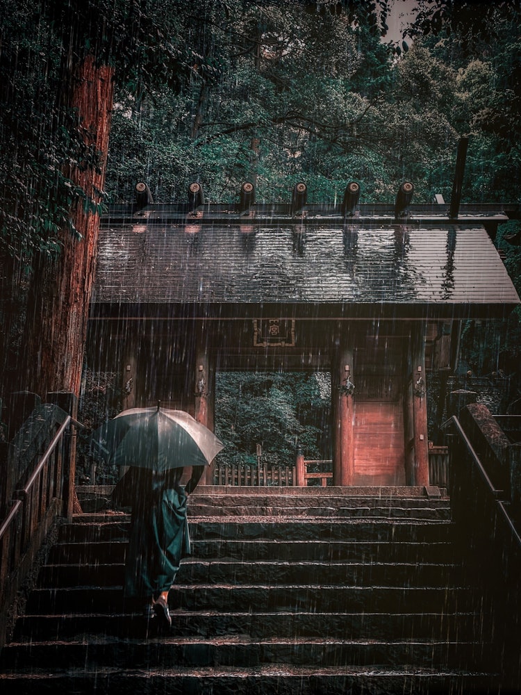 [相片1]《绿雨崇拜》在每月与我妻子的敬拜仪式上。三重县桑名市田户神社在iPHONE 11 PRO上拍摄