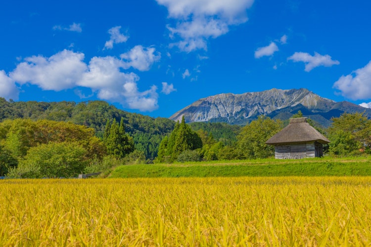 [이미지1]초가집가을처럼 변한 오야마산을 배경으로 사진을 찍☺️었습니다.이 날은 오야마 산을 선명하게 볼 수 있었고, 매우 기분 좋은 가을 햇살에 마음이 치유되었습니다 ☺️.위치: 돗토리현 