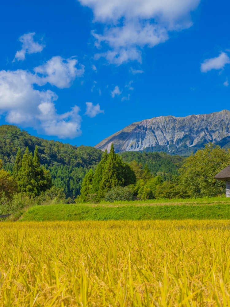 [Image1]Thatched hutI took ☺️ a picture with Mt. Oyama in the background, which has changed like autumn.On t