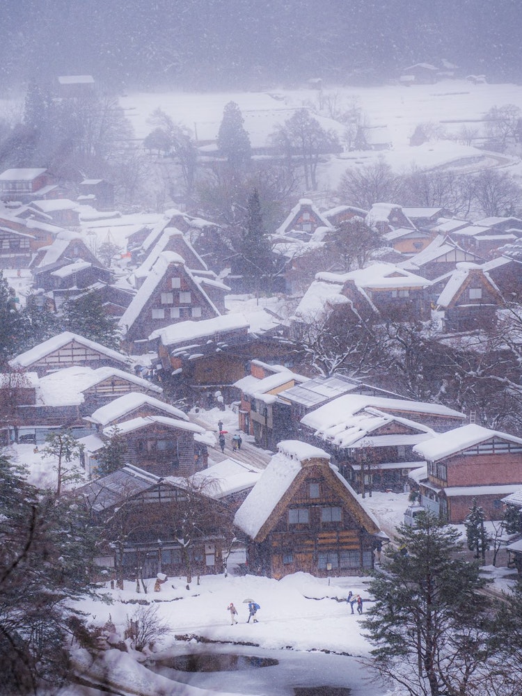 [Image1]Winter in JapanShirakawa-goIn Gifu2021.12.30