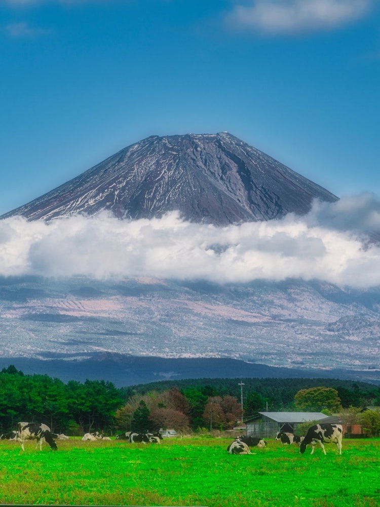 [相片1]朝霧高原， 靜岡縣我一生中見過富士山。我通常開車6個小時沒有休息一天，下班後晚上開車不停蹄山梨縣6個小時，然後在Fumorepala露營地住了1晚，可愛的女兒說由於松罐的影響，就像富士山一樣，所以我😵