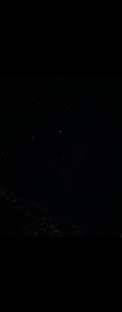 [画像1]今晩もこぼれそうな星空です。