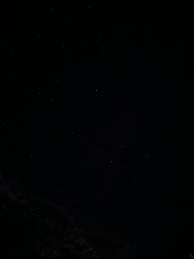 [Image1]It's a starry sky that looks like it's going to spill over tonight.