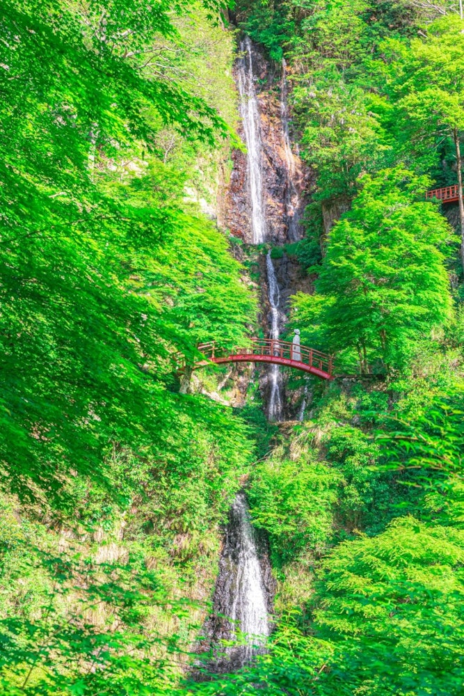 [相片1]宫本武藏训练的瀑布这是岐阜县的“五宝瀑布”它也是著名的剑客宫本武藏训练的地方。 它的历史可以追溯到江户时代初期。这是一个可以感觉到负离子的神秘地方，所以请参观它 😊