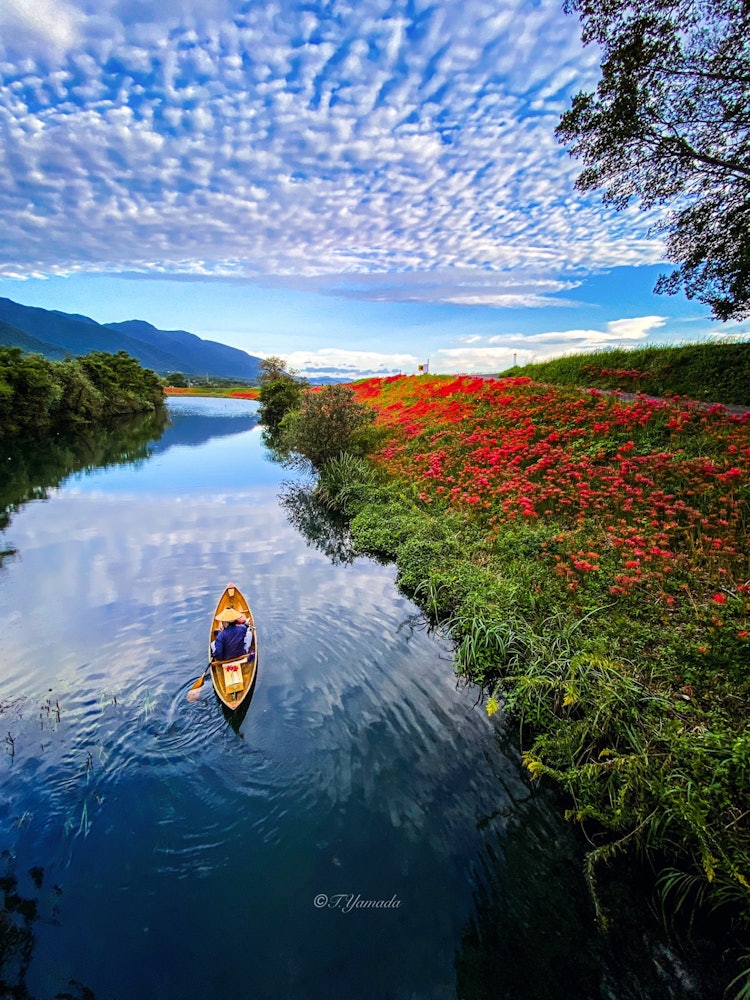 [相片1]秋天的津谷河上，出現了一個流浪的船夫，成為一幅古老的景象。津谷川， 海津， 岐阜