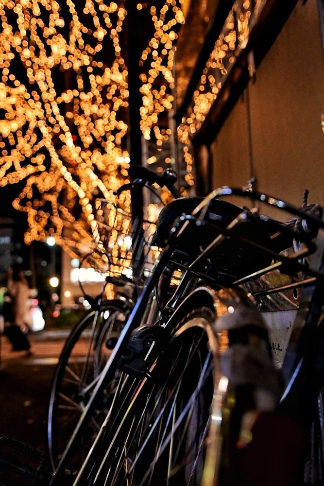 [相片1]宮城縣仙台的十二月傳統仙台光之選美