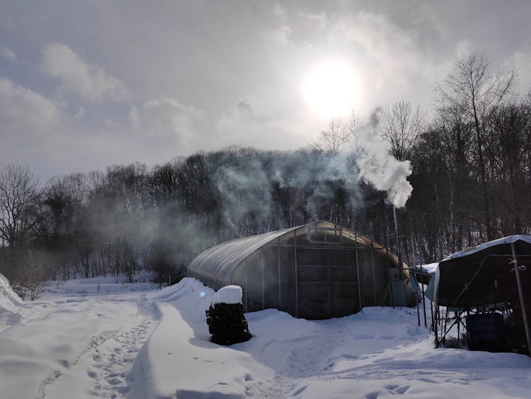 [相片1]農民的冬天。房子里的煙霧製作得相當不錯！