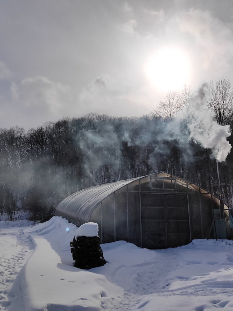 [Image1]Farmer winter.The smoke from the house made a pretty good production!