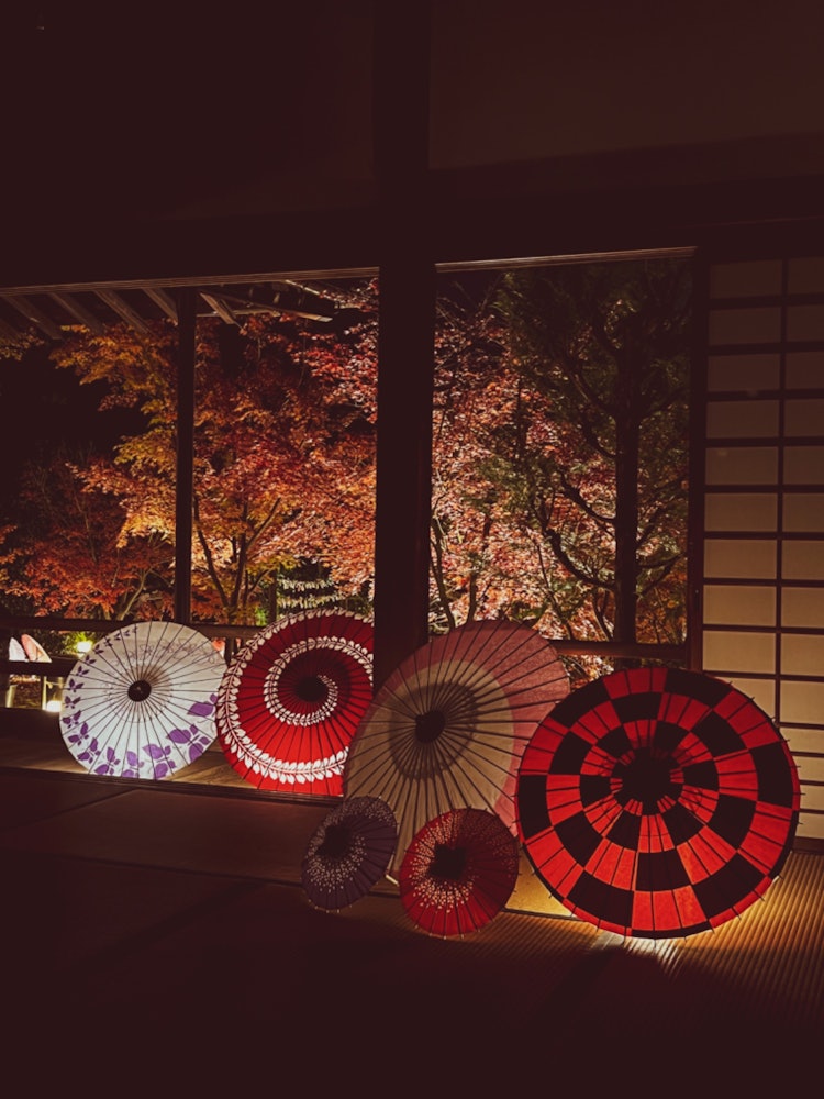 [Image1]The flower hand water is also beautiful Tofukuji Tototo Shōrinji'sAutumn special illuminationUnfortu