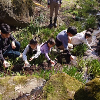 [画像1]昨日3/16（土）、熱海梅園内の初川にて、ほたるの幼虫を放流しました。毎年恒例で、梅園町のお子様たちにお手伝いしていただきました！日本には50種類程度の蛍がいると言われています。熱海で放流するのは、日