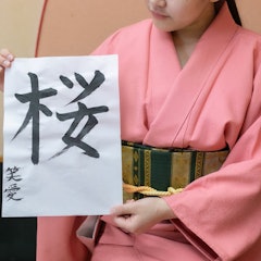 [画像2]【日ノ本一の書道マスターへの道】漢字には一文字一文字に意味が込められております。The Way to the Master of Japanese CalligraphyEach kanji char