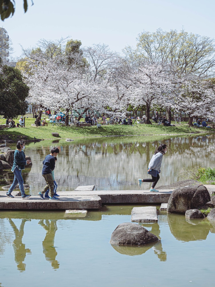 [Image1]It is the oldest Sumiyoshi Park in Osaka City.Located in a quiet residential area, the park offers a
