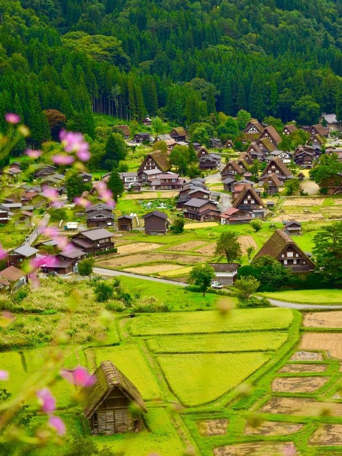 [画像1]2015年に初めて白川郷のことを聞いたとき、いつかこの場所を訪れることを夢見ていました。ついに私の夢が叶い、今日は日本の最も絵に描いたように完璧で象徴的な村を訪れました。私は説明できない喜びを感じ、美