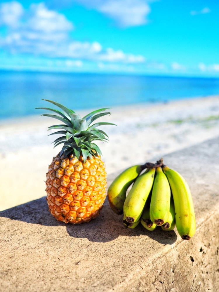 [Image1]The Sea of Shiraho and 📷 ⸝⋆Island Banana and PinePine is an unmanned sale in ShirahoShima bananas ar
