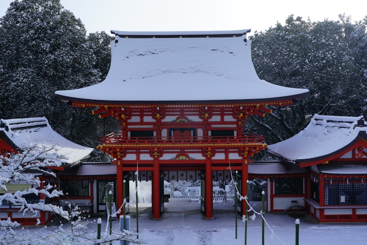 [画像1]滋賀県大津市の近江神宮が大寒波の時雪景色になりました赤い参門が綺麗でした日付2023.01.25
