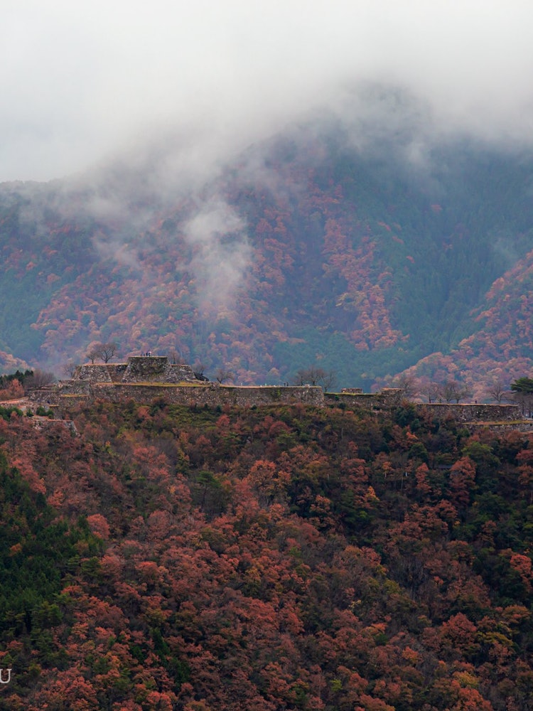 [Image1]Japan places to visit after coronaTakeda Castle in the sky surrounded by autumn leavesIn Hyogo Prefe