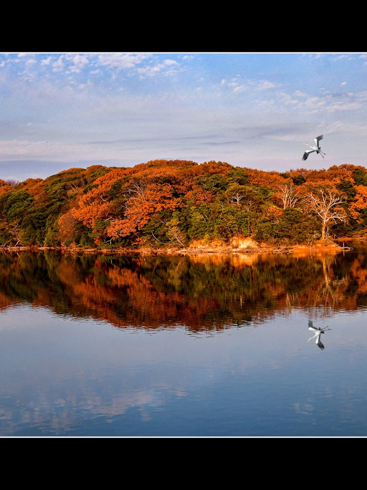 [相片1]山口縣宇部市常磐公園的紅葉在常磐湖上是Instagram上的。
