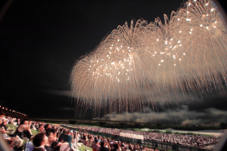 [이미지1]나가오카 축제 불꽃놀이 축제 1일 밤. 하늘을 올려다 보며 