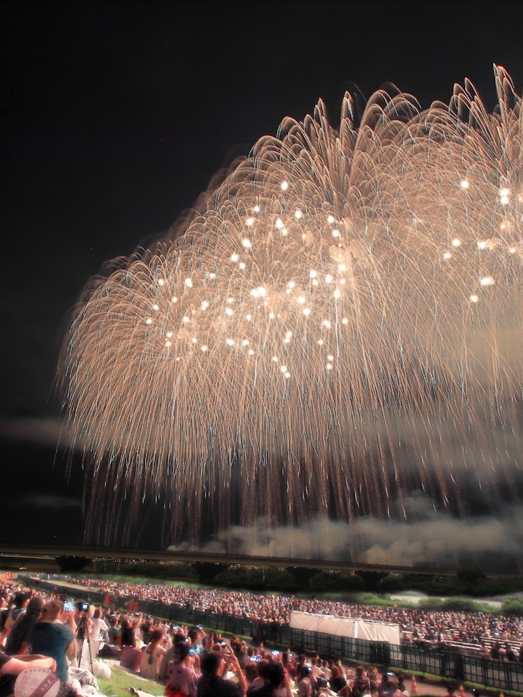 [이미지1]나가오카 축제 불꽃놀이 축제 1일 밤. 하늘을 올려다 보며 