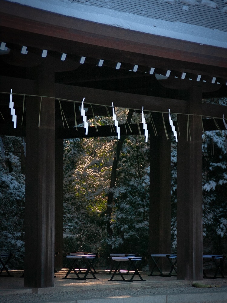 [Image1]From the snowy Meiji Jingu Shrine.Camera: canon eos40dLens: TAMRON XR Di IIWe also do Twitter and In