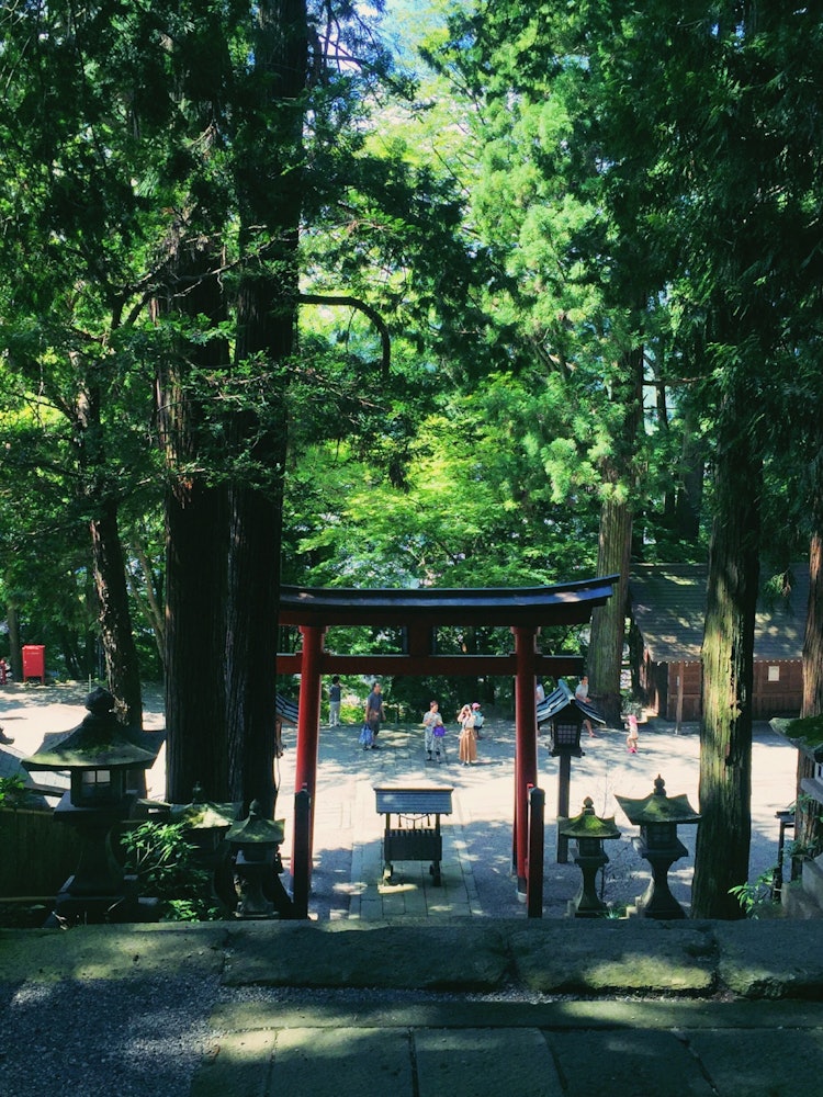 [相片1]下辈子，请让我成为东京的帅哥!!! 的神社。是比重神社。你叫什么名字？ 我非常喜欢它，以至于我在回家的路上去圣地朝圣。夏叶的绿色很美，即使不是圣地，也是一个气氛非常愉快的好地方。