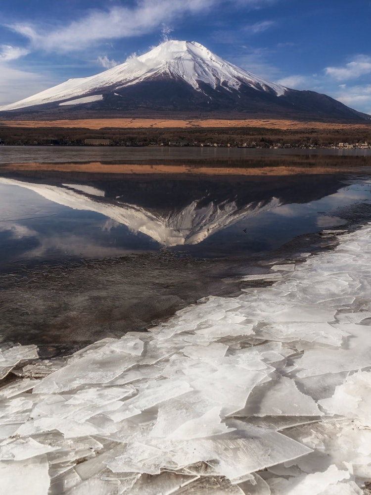 [Image1]Mt. Fuji in winterAt Lake Yamanaka, Yamanashi Prefecture