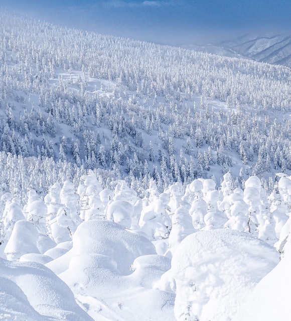[画像1]山形と福島にまたがる西吾妻山。 美しい樹氷原が広がるお気に入りの場所。 暖冬というがまたこの景色を見に行きたい
