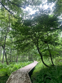 [이미지2]★ 유메가오카 전망대에서 절경! 구시로 습지 ★구시로조 타코부 오토 캠프장에는 유메가오카 전망대로 이어지는 2.3km 길이의 산책로가 있습니다. 전반부는 나무 길을 따라 걷게 되지