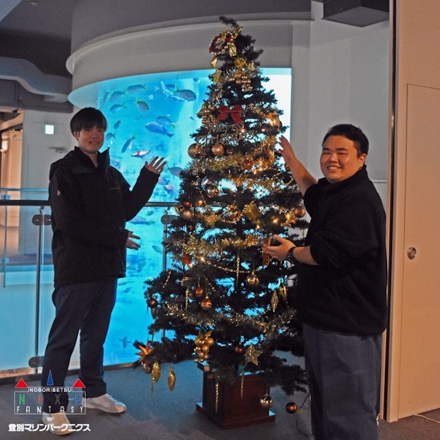 [画像1]クリスマスツリーが登場しました🎅あと数日でクリスマス！！ニクスにご来館した際にはクリスマス気分が味わえると思います。新人スタッフが飾りつけしたツリーはどうでしょうか？？ニクス城３階クリスタルタワー水槽