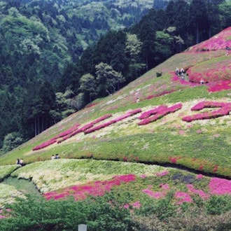 [Image1]Himenosawa ParkHimenosawa Park, a famous flower spot in Atami, is full of seasonal flowers! It is a 