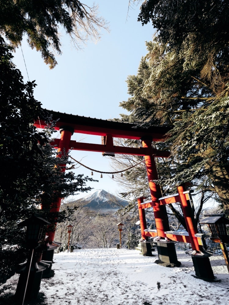 [Image1]Morning at Niikurayama Sengen Shrine.Mt. Fuji enters the torii gate, and the scenery is very magnifi