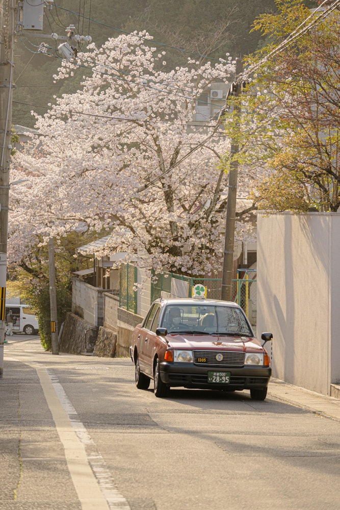 [相片1]这是一个安静的住宅区，位于京都哲学路周围。