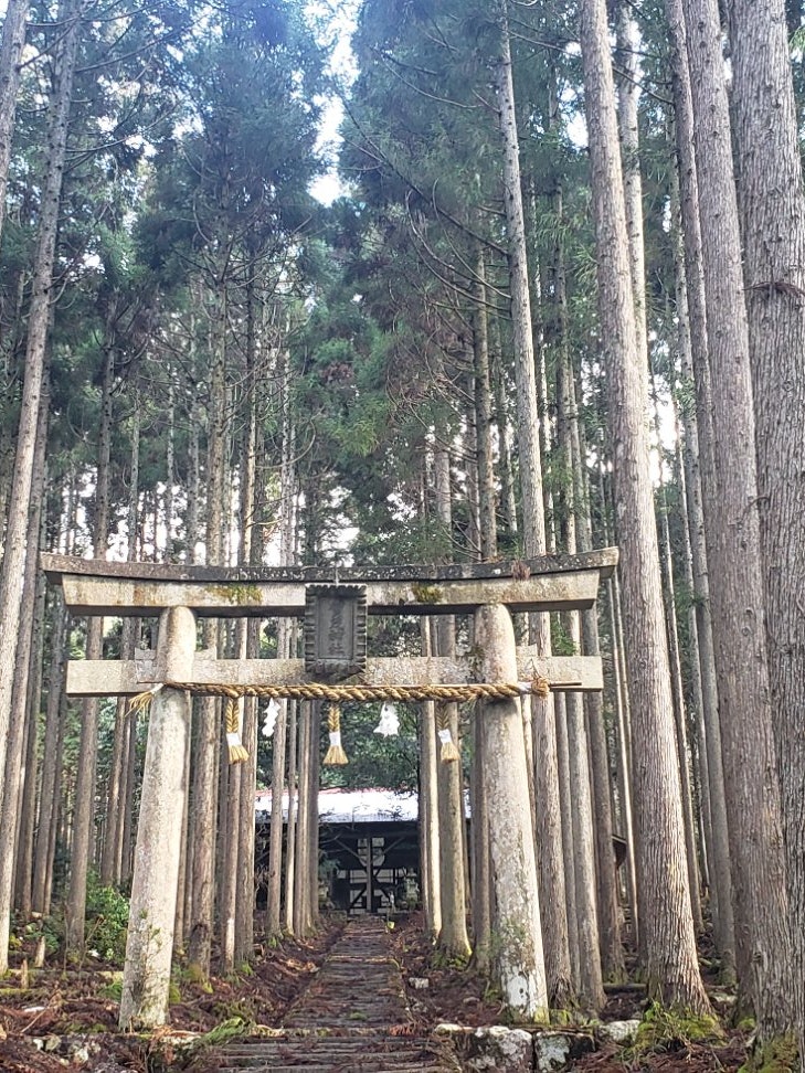 [相片1]京都隱藏的權力點「加茂神社」。。 這是一座安靜地位於京都市宇京區京北町的神社。