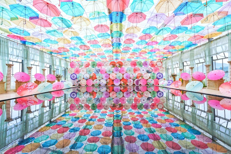 [相片1]福岛县猪苗代香草园的伞空！悬挂在天花板上的雨伞的反射是☂️最好的它装饰着许多雨伞，在雨季会很有趣✨。