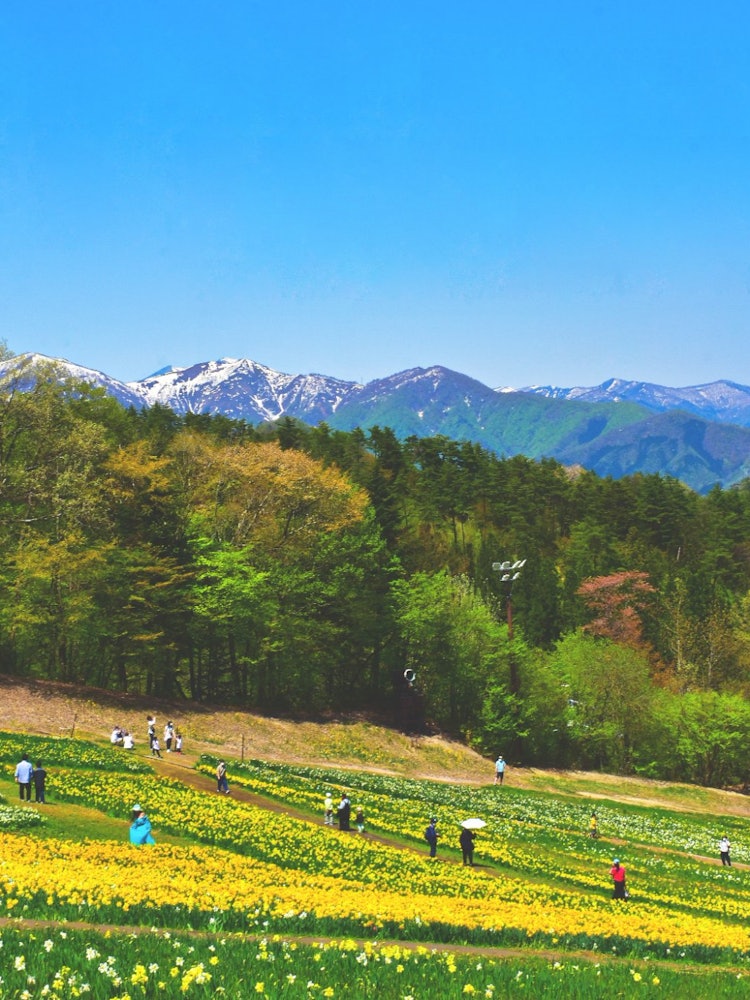 [Image1]Minakami in Gunma Prefecture is a truly urban oasis which also known as the heart of Japan. This pho